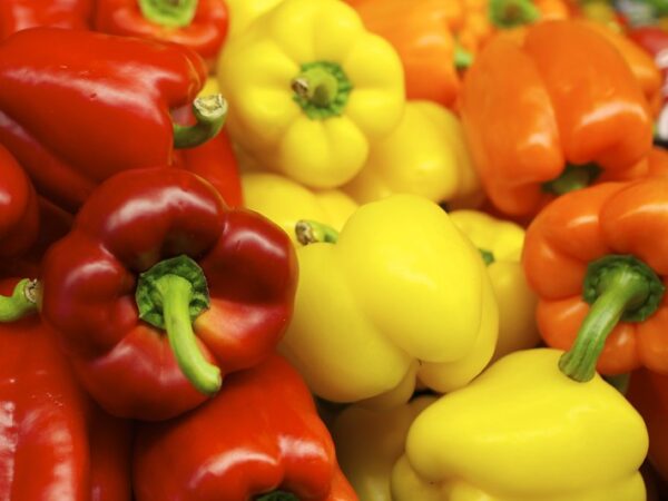 Red, yellow, and orange peppers